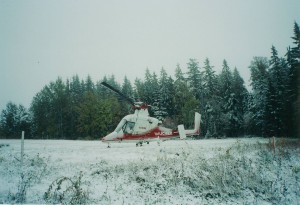 Austrofoma ヘリコプター
