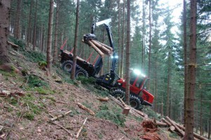 Forwarder in the forest