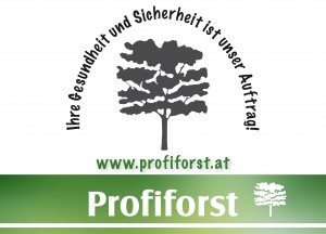 logo profiforst-1